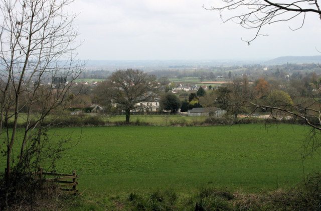 Blagdon Hill seen from the edge of a wood to the south-west, fields in the foreground and the Vale of Taunton Deane beyond